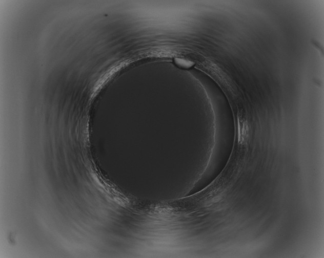 X0000101980531200807181127