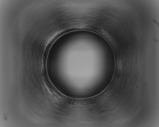 X0000101980532200807181127