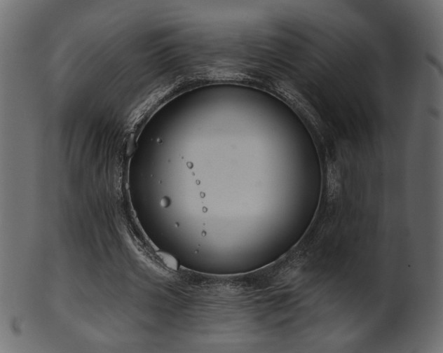 X0000101980533200807181127