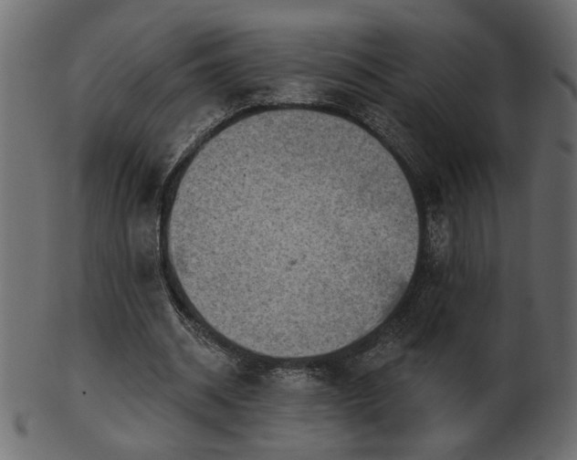 X0000101980534200807181127