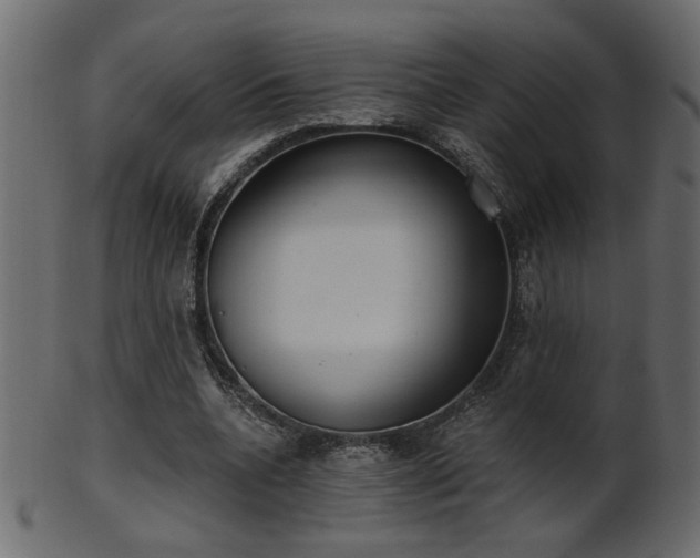 X0000101980536200807181127