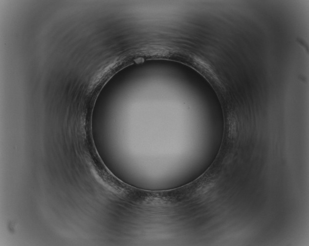 X0000101980538200807181127