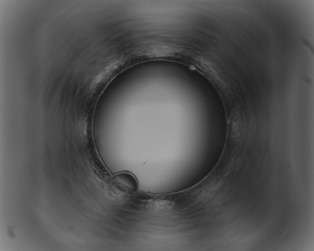 X0000101980539200807181127