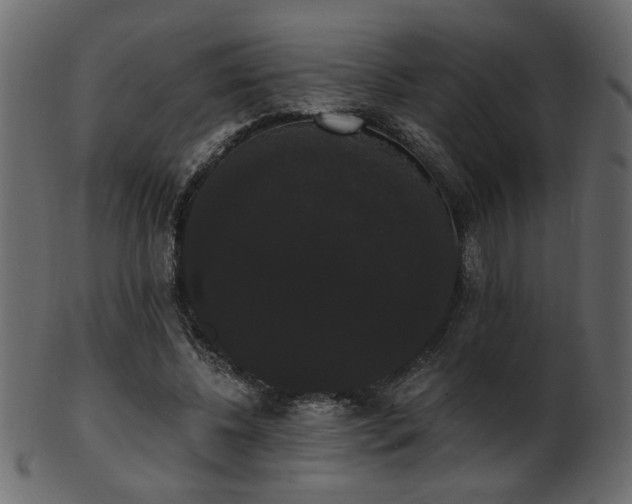 X0000101980540200807181127