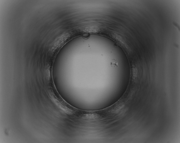 X0000101980541200807181127