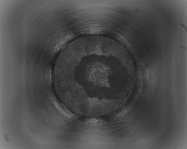 X0000101980542200807181127