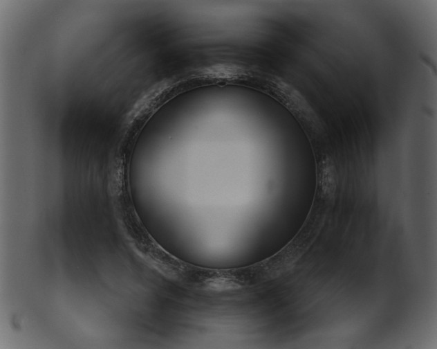 X0000101980544200807181127