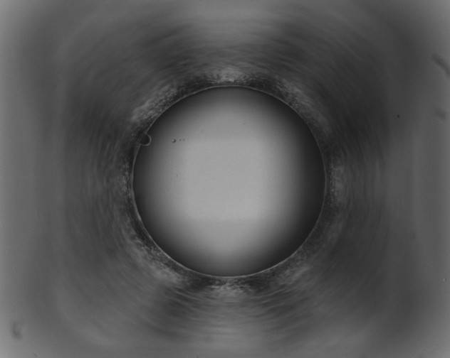 X0000101980545200807181127