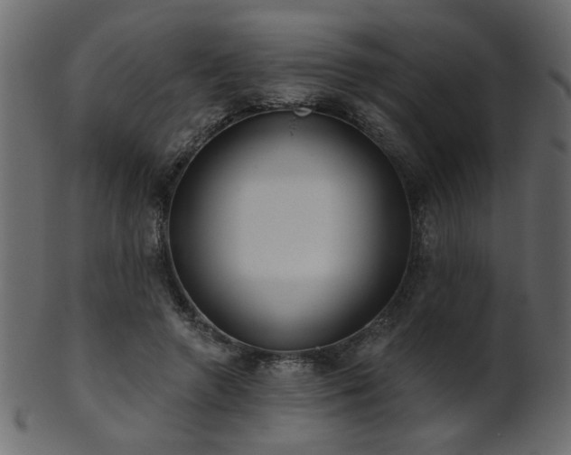 X0000101980546200807181127