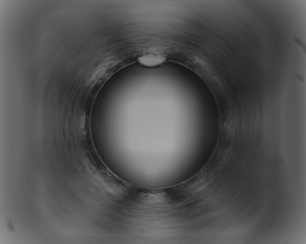 X0000101980548200807181127