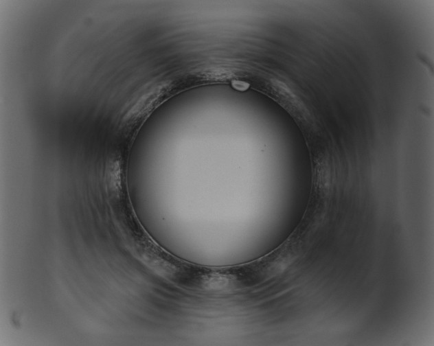 X0000101980549200807181127