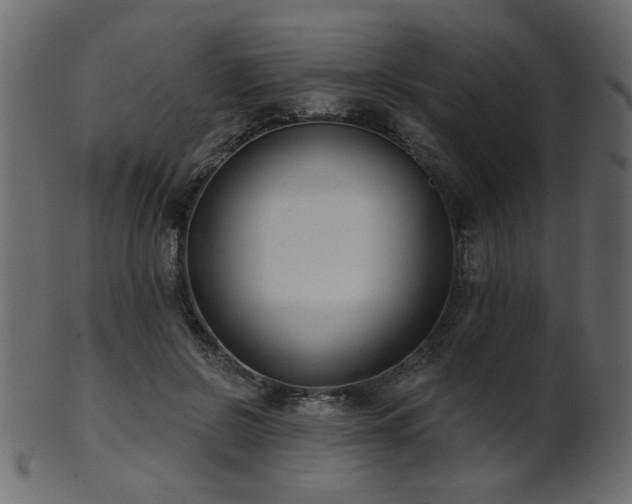 X0000101980550200807181127