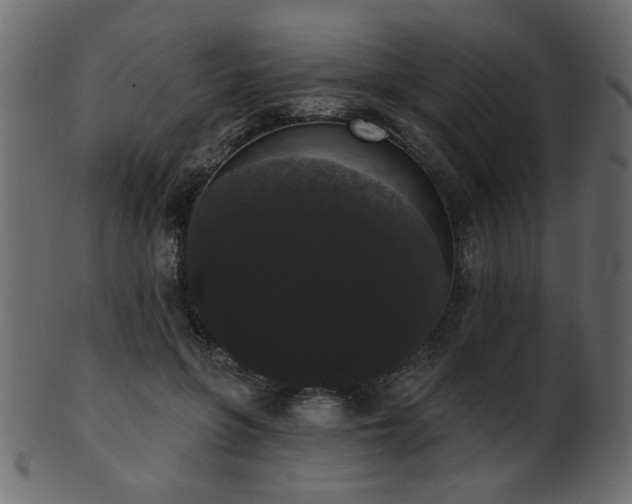 X0000101980551200807181127