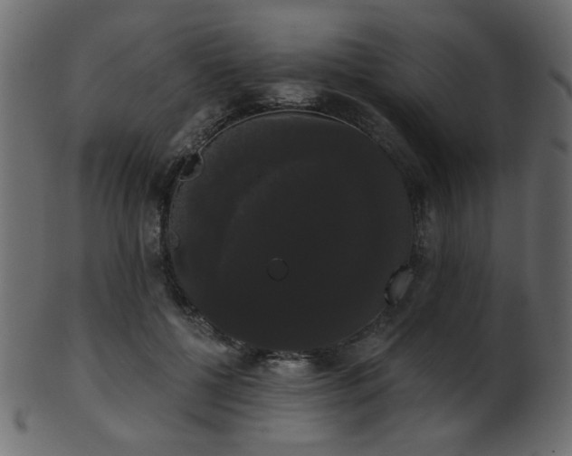 X0000101980552200807181127