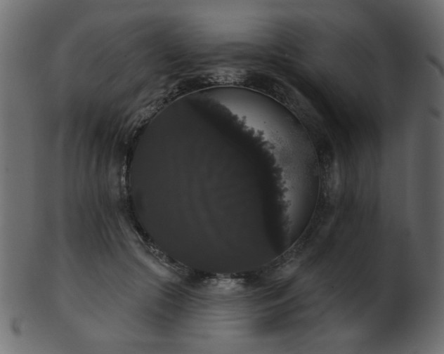 X0000101980553200807181127