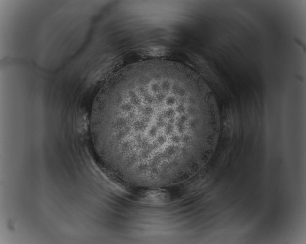 X0000101980555200807181127