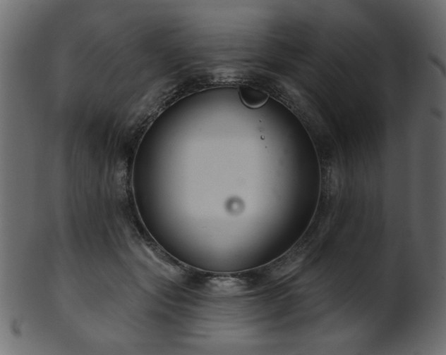 X0000101980557200807181127