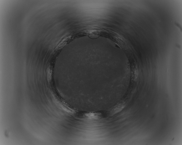 X0000101980558200807181127