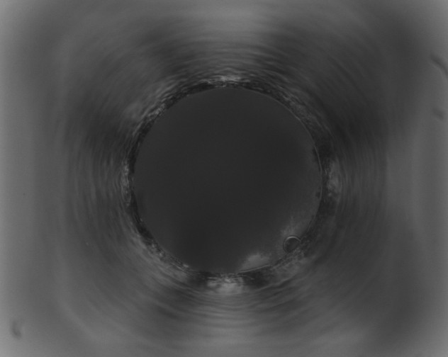 X0000101980559200807181127