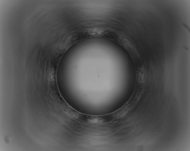 X0000101980561200807181127