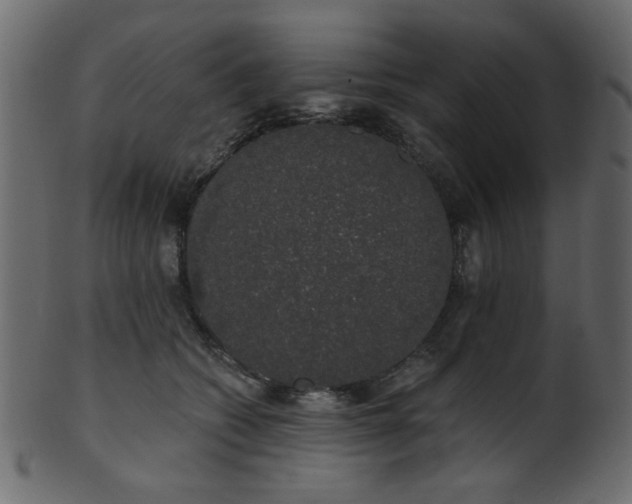 X0000101980562200807181127