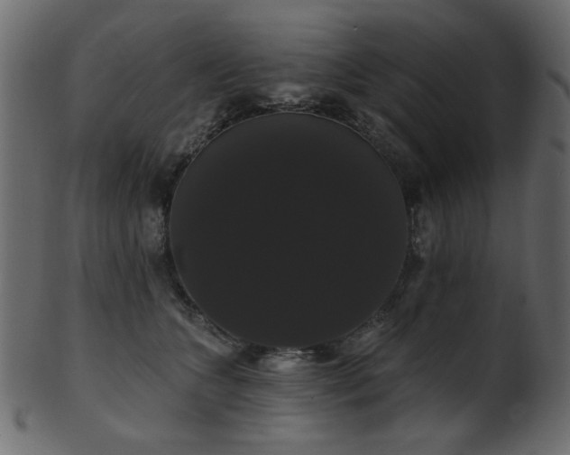 X0000101980563200807181127