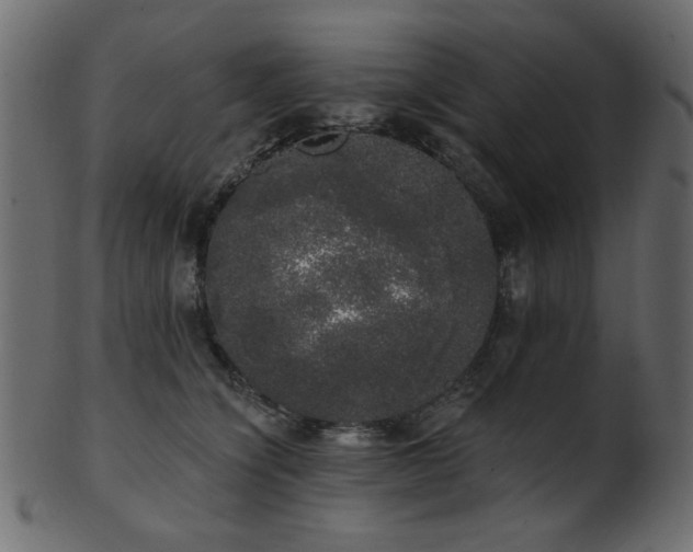 X0000101980564200807181127