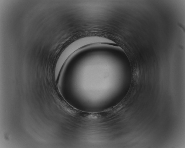 X0000101980566200807181127