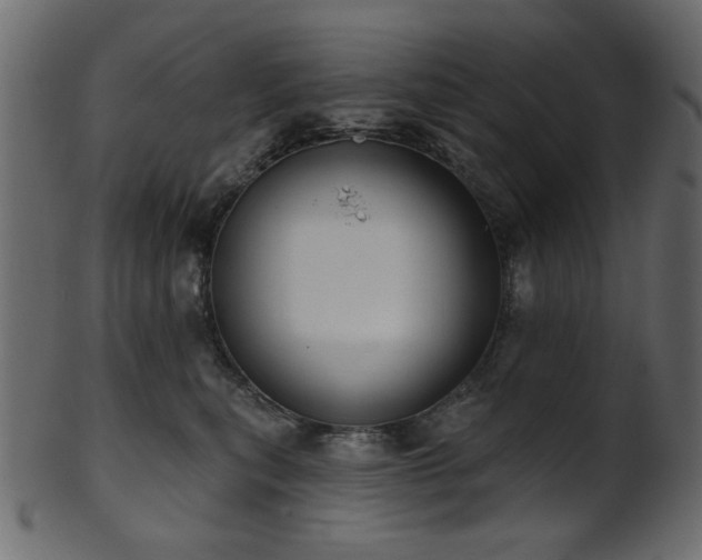 X0000101980567200807181127