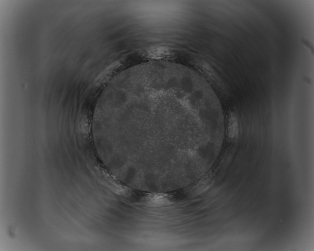 X0000101980569200807181127