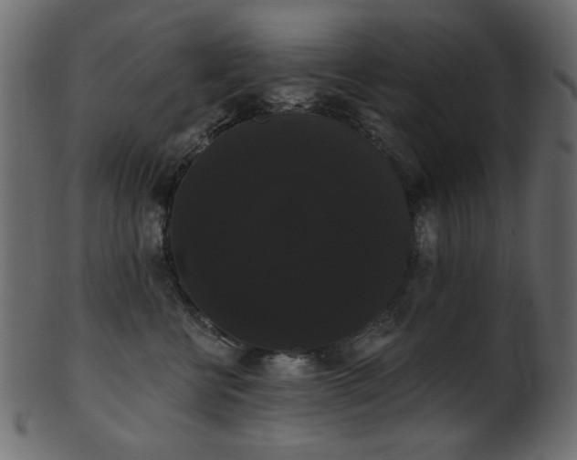 X0000101980570200807181127