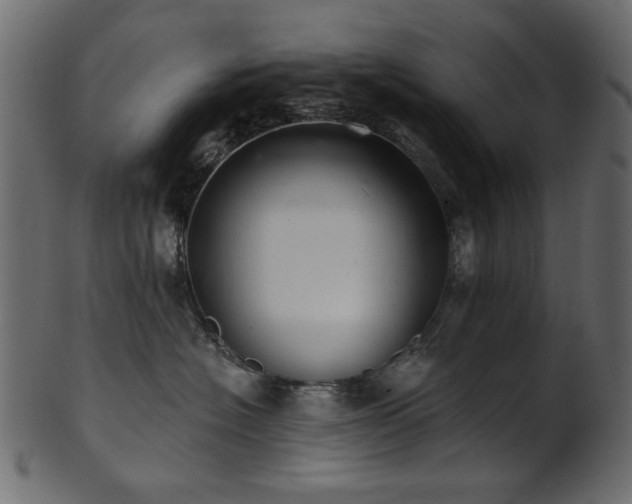 X0000101980574200807181127