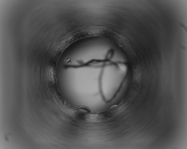 X0000101980575200807181127