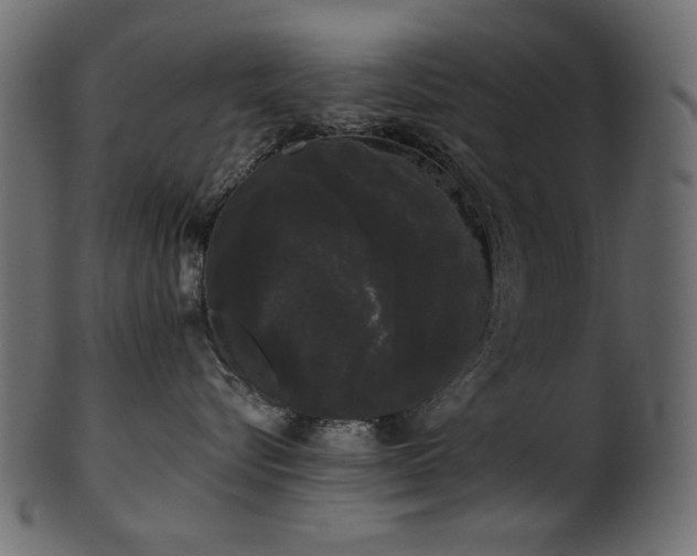 X0000101980576200807181127