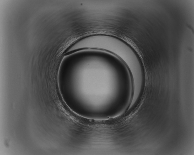 X0000101980577200807181127