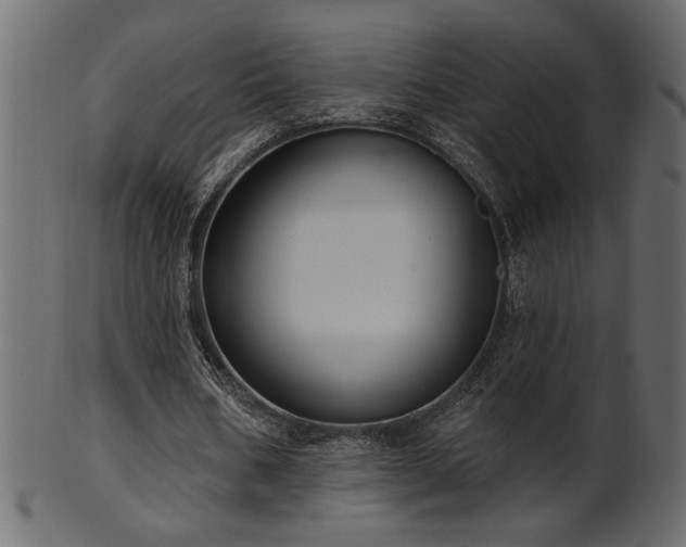 X0000101980578200807181127