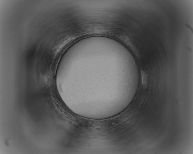 X0000101980579200807181127