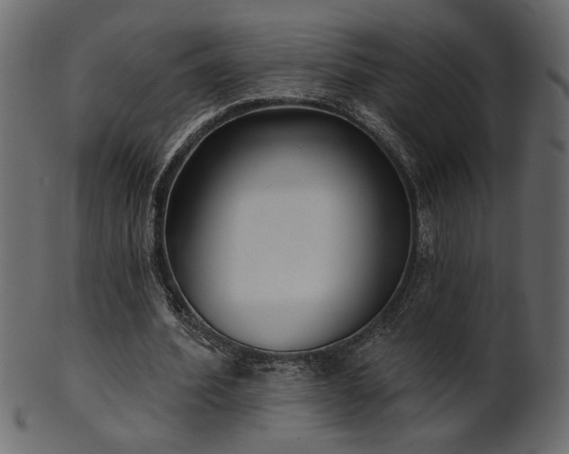 X0000101980580200807181127