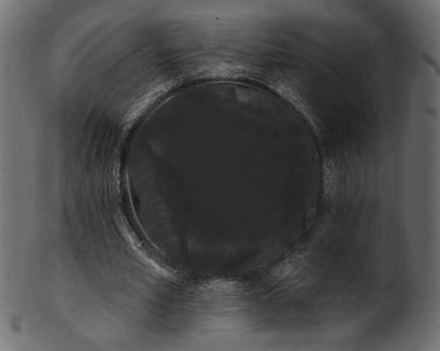 X0000101980581200807181127