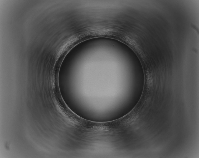 X0000101980582200807181127