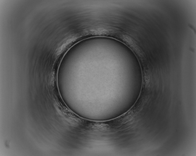 X0000101980583200807181127