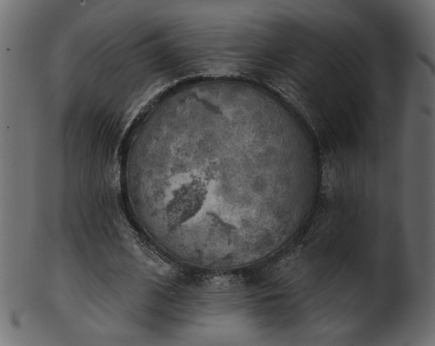 X0000101980584200807181127