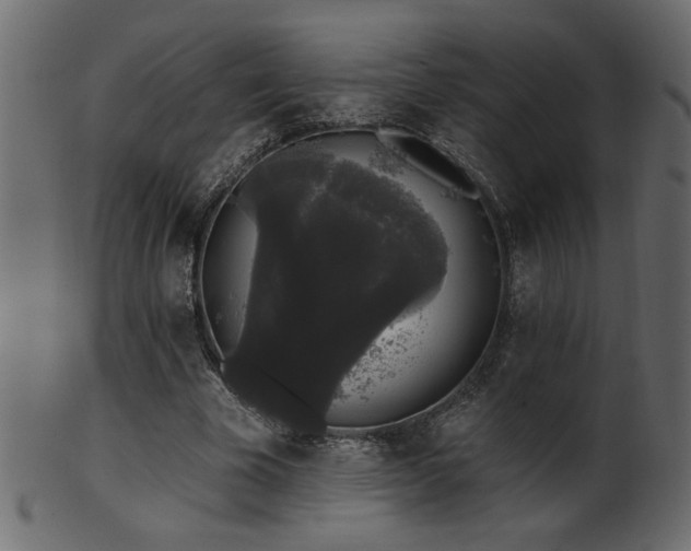 X0000101980585200807181127