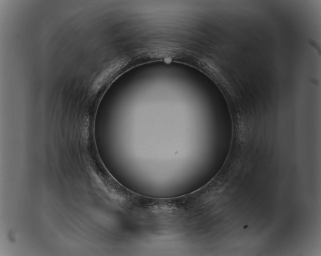 X0000101980586200807181127