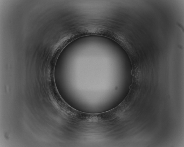 X0000101980587200807181127