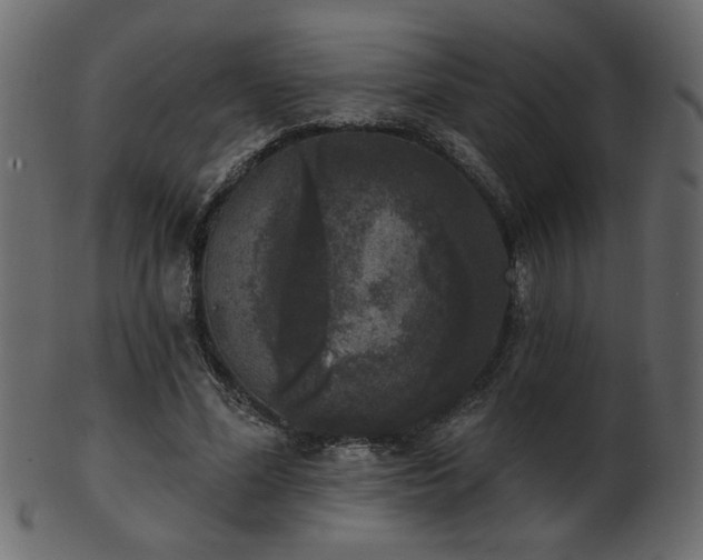 X0000101980588200807181127