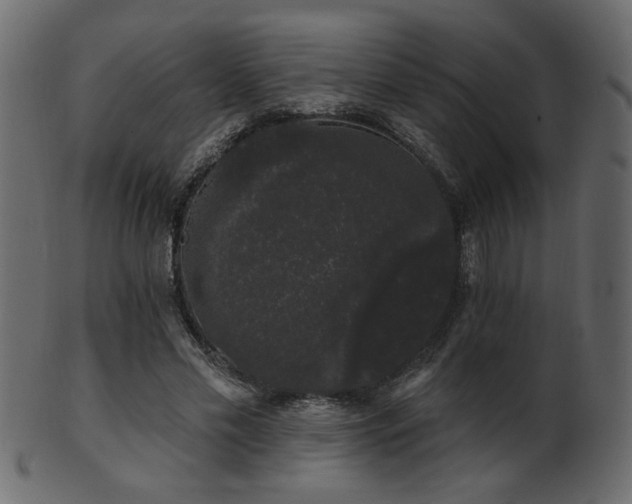 X0000101980589200807181127