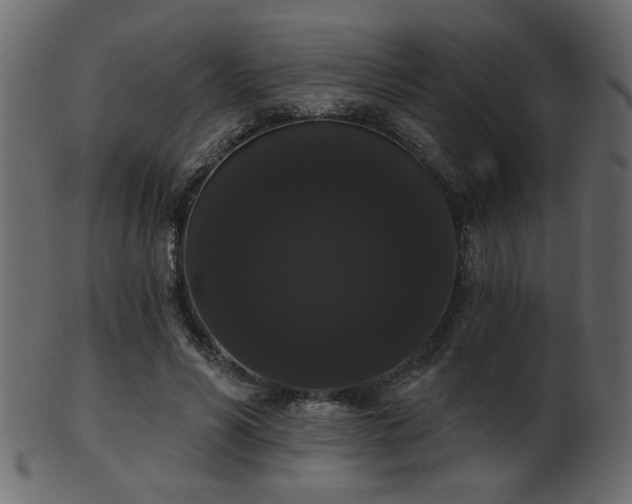 X0000101980590200807181127