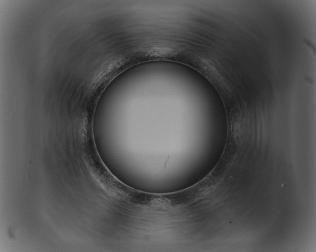 X0000101980591200807181127