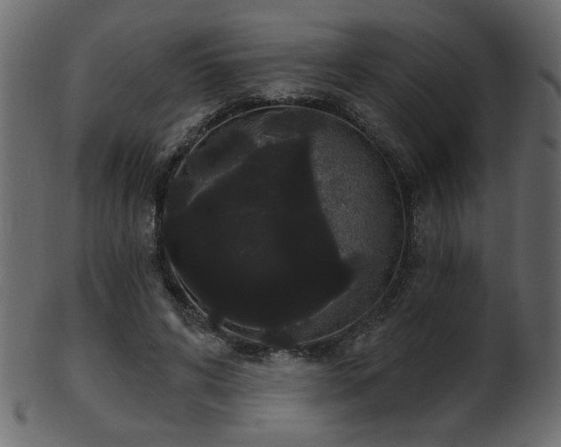 X0000101980592200807181127